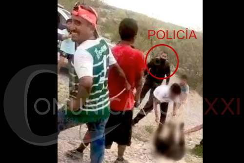 Video: ¡Aterrador! Asesinan a pequeño osito en Coahuila; PROFEPA inicia denuncia penal